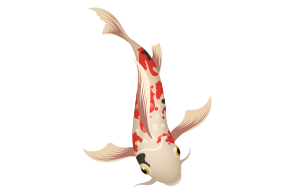 Aquarium Koi: A Water Fish with Decorative Appeal for Modern Design