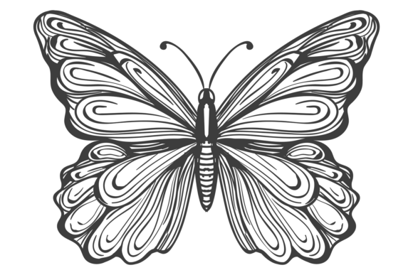 Wild Fauna Decorative Butterfly Drawing: A Designer's Guide
